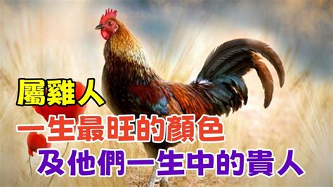 屬雞適合的顏色|屬雞人留意：這些顏色助你贏